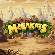 relax/MeettheMeerkats
