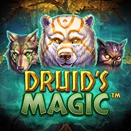 Druid's Magic game tile