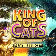 King of Cats game tile