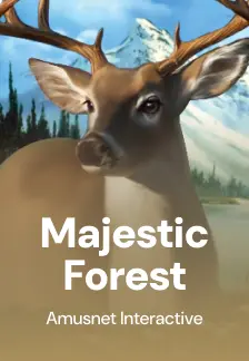 Majestic Forest