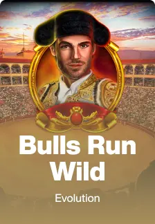 Bulls Run Wild