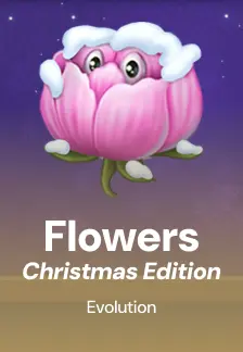 Flowers Christmas Edition