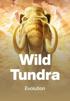 Wild Tundra