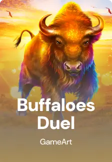 Buffaloes Duel