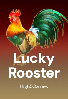 Lucky Rooster