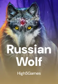 Russian Wolf