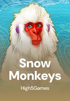 Snow Monkeys