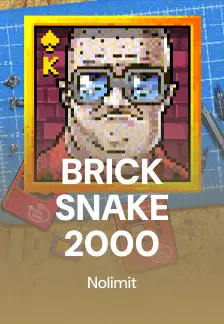 BRICK SNAKE 2000