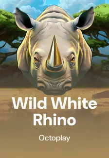 Wild White Rhino