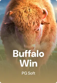 Buffalo Win