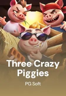 Three Crazy Piggies