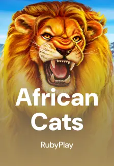 African Cats