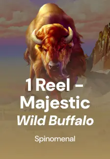 1 Reel - Majestic Wild Buffalo