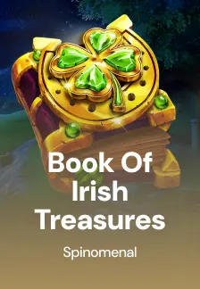 Book Of Irish Treasures