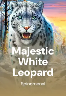 Majestic White Leopard