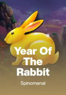 Year Of The Rabbit