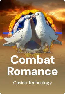 Combat Romance