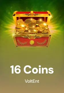 16 Coins