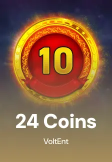 24 Coins