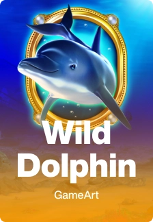 Wild Dolphin
