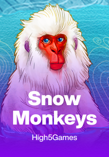 Snow Monkeys