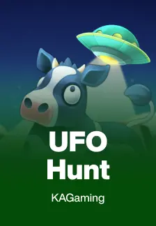 UFO Hunt