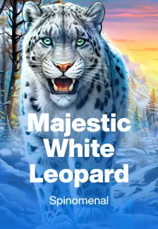 Majestic White Leopard