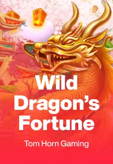 Wild Dragon's Fortune