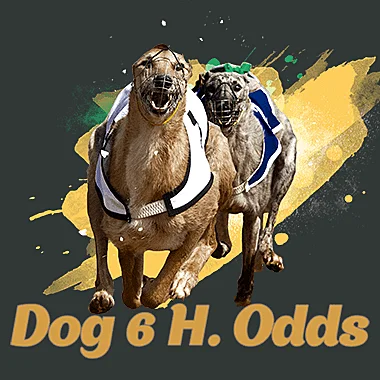 infin/Dog6HOdds