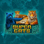 amatic/SuperCats