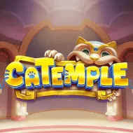 Catemple game tile