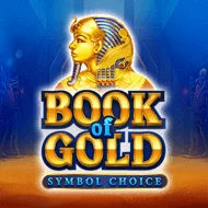infin/BookofGoldSymbolChoice
