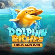 Dolphin Riches Hold and Win game tile