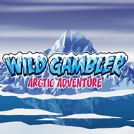 playtech/WildGambler2