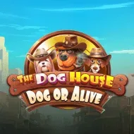 The Dog House - Dog or Alive game tile