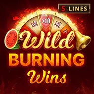quickfire/MGS_Playson_WildBurningWins5lines