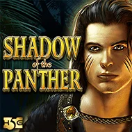 relax/ShadowOfthePanther