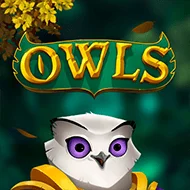 nolimit/Owls