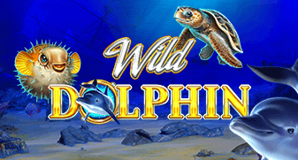 gameart/WildDolphin