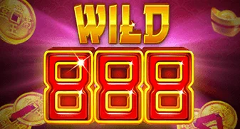 infin/Wild888