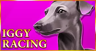 onlyplay/IggyRacing