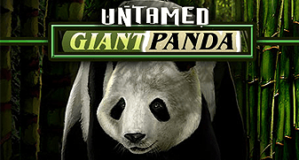 quickfire/MGS_Untamed_Giant_Panda
