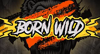 relax/BornWild1