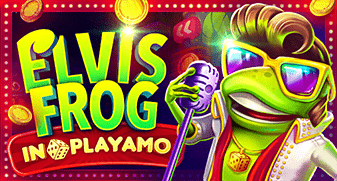 Playamo review : is this a recommendable casino or NOT?