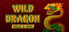 Wild Dragon Hold & Win game tile