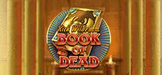 Book of Dead game tile