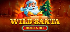 Wild Santa - Hold & Hit game tile