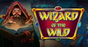 Wizard of the Wild game tile