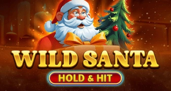 Wild Santa - Hold & Hit game tile