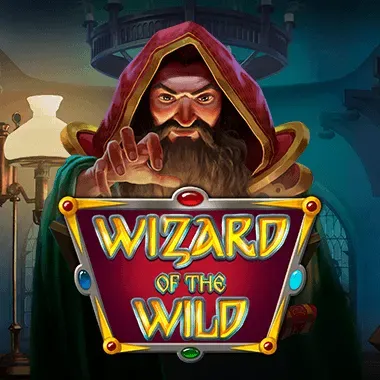 Wizard of the Wild game tile